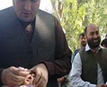Insecurity Hampers Anti-Polio Drive in 3 Nangarhar Districts